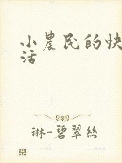 小农民的快乐生活封面