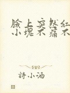 脸上突然红了一小块不痛不痒封面