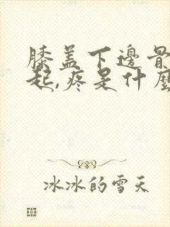 膝盖下边骨头凸起,疼是什么原因