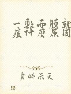 一敷面膜就长痘痘什么原因封面