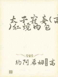 太子宠妾(高肉)红烧肉包封面