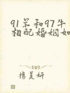 91羊和97牛相配婚姻如何