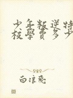 少年叛逆特训学校学费多少封面