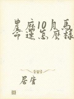 农历10月马的命运怎么样封面