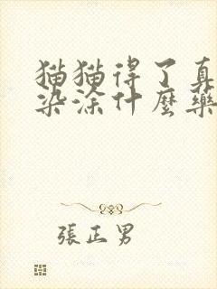 猫猫得了真菌感染涂什么药