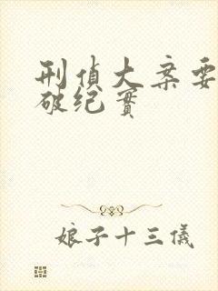 刑侦大案要案侦破纪实封面