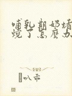 哺乳期奶堵了发烧了怎么办封面