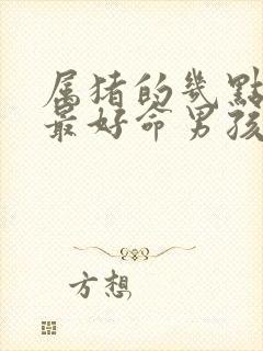 属猪的几点出生最好命男孩子