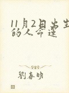 11月2日出生的人命运
