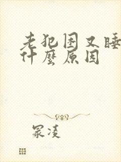 老犯困又睡不着什么原因