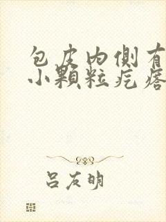 包皮内侧有一片小颗粒疙瘩