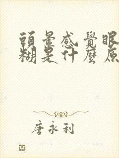 头晕感觉眼睛模糊是什么原因