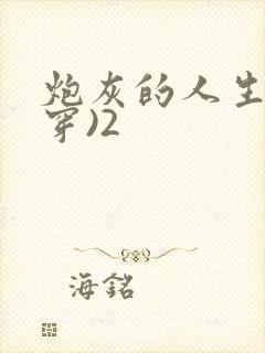 炮灰的人生(快穿)2