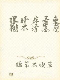 眼睛疼看东西模糊不清怎么办封面