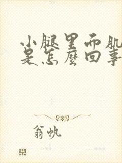 小腿里面肌肉疼是怎么回事