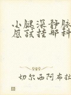 小腿深静脉血栓应该挂哪科封面