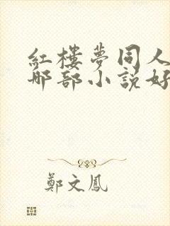 红楼梦同人小说哪部小说好看