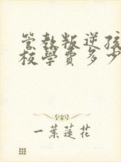 管教叛逆孩子学校学费多少封面