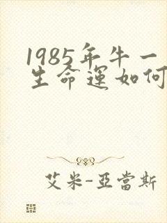 1985年牛一生命运如何封面