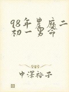 98年农历二月初一男命