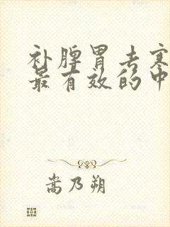 补脾胃去寒湿气最有效的中成药封面