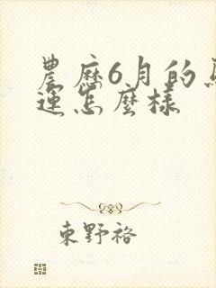 农历6月的马命运怎么样