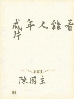 成年人能看的黄片