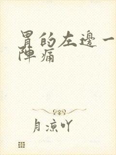 胃的左边一阵一阵痛封面