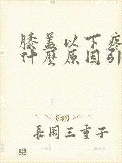 膝盖以下疼痛是什么原因引起的