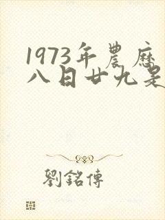 1973年农历八日廿九是什么命