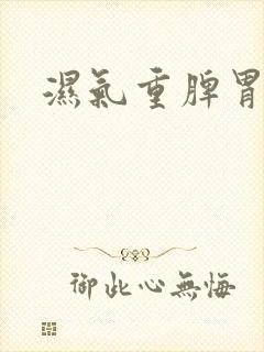 湿气重脾胃调理