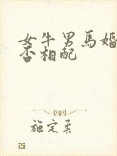 女牛男马婚姻是否相配封面