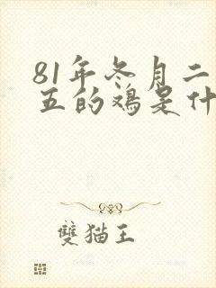 81年冬月二十五的鸡是什么命
