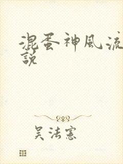 混蛋神风流史小说