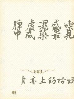 脾虚湿盛吃什么中成药最见效封面