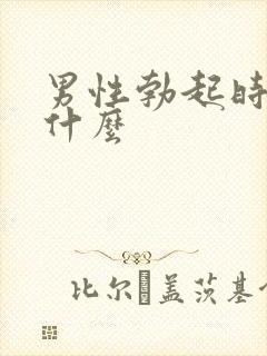 男性勃起时是为什么