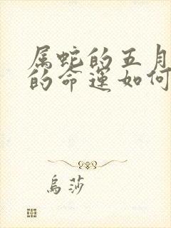 属蛇的五月的他的命运如何