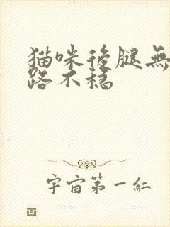 猫咪后腿无力走路不稳