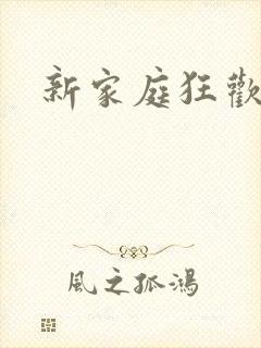 新家庭狂欢小说封面