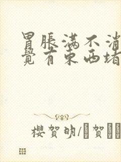 胃胀满不消化感觉有东西堵着