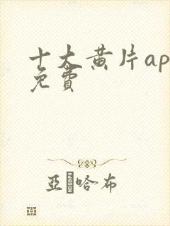 十大黄片app免费封面