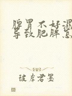 脾胃不好湿气重导致肥胖怎么办