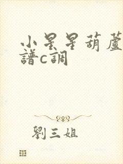 小星星葫芦丝简谱c调