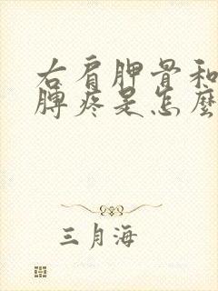 右肩胛骨和右胳膊疼是怎么回事?