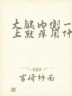 大腿内侧一到晚上就痒用什么药膏