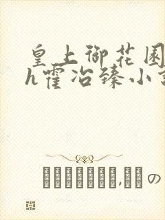 皇上御花园hlh霍冶臻小说