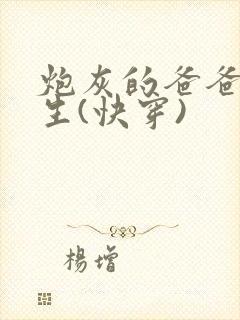 炮灰的爸爸的人生(快穿)封面