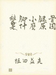 双脚小腿骨头疼是什么原因引起的