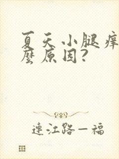 夏天小腿痒是什么原因?