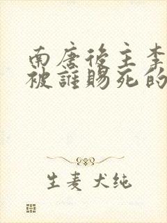 南唐后主李煜是被谁赐死的封面